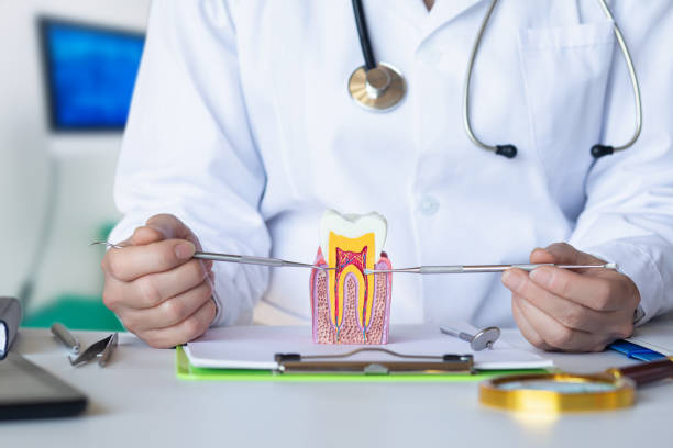 Best Urgent Dental Care for Toothache in Oriska, NY